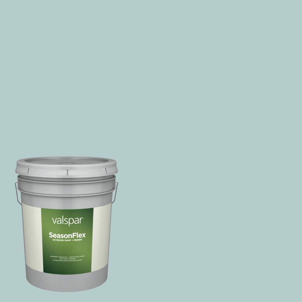 Exterior Paint (5-Gallon) V4901