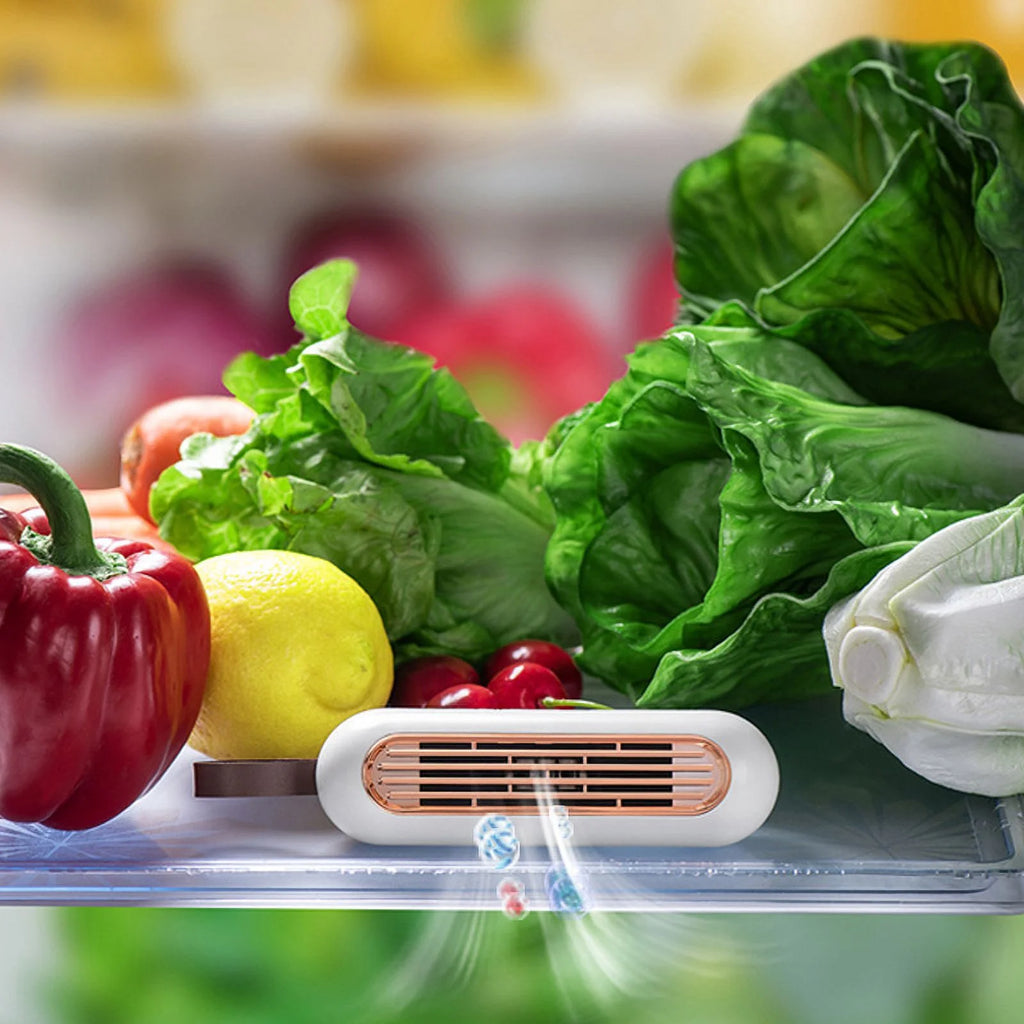 Refrigerator deodorizer G932395