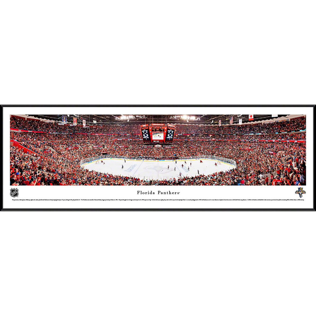 Florida Panthers Deluxe Frame F46815