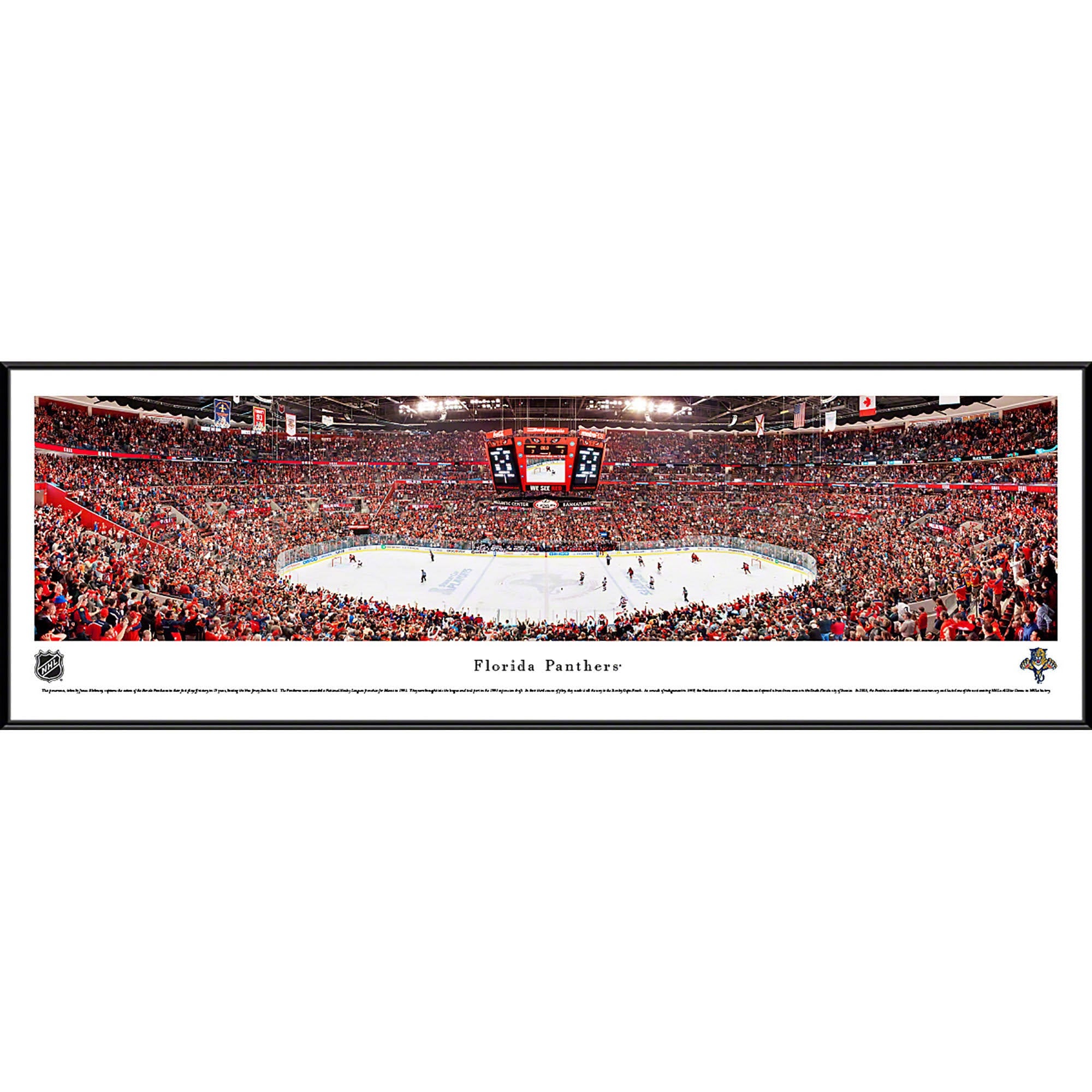 Florida Panthers Deluxe Frame F46815