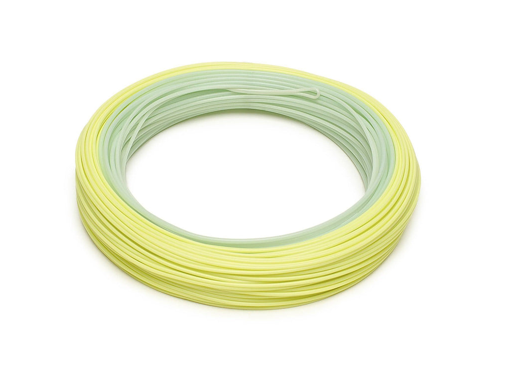 Rio InTouch Salmo Steelhead WF8F Fly Line V4036