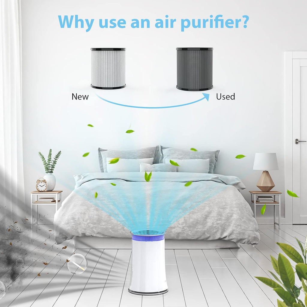 True HEPA Air Purifier with Activated Carbon Filter O210