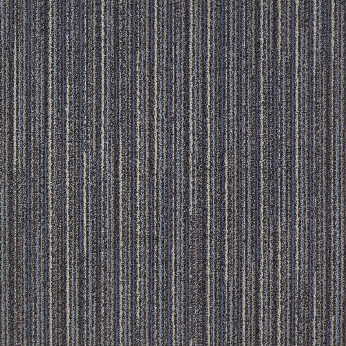 54 Square Feet Carpet Tile V506