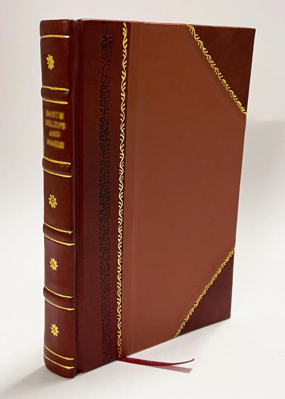 Outlaw and Lawmaker: A Novel [Leather Bound] J7085
