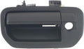 Primed Plastic Tailgate Handle and Bezel with Rear View Camera Hole, Pack of 2 E950489