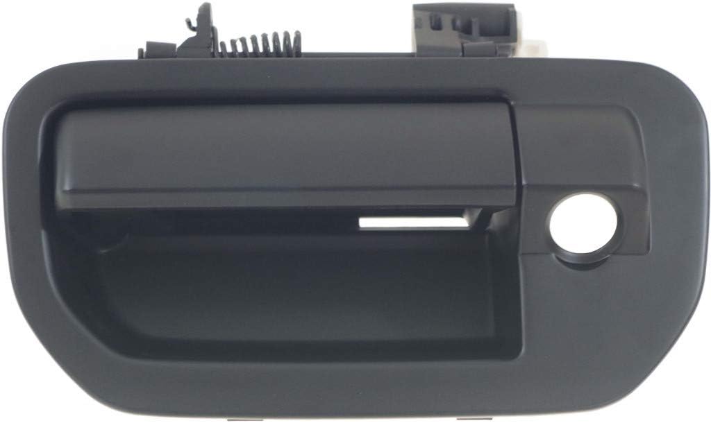 Primed Plastic Tailgate Handle and Bezel with Rear View Camera Hole, Pack of 2 E950489