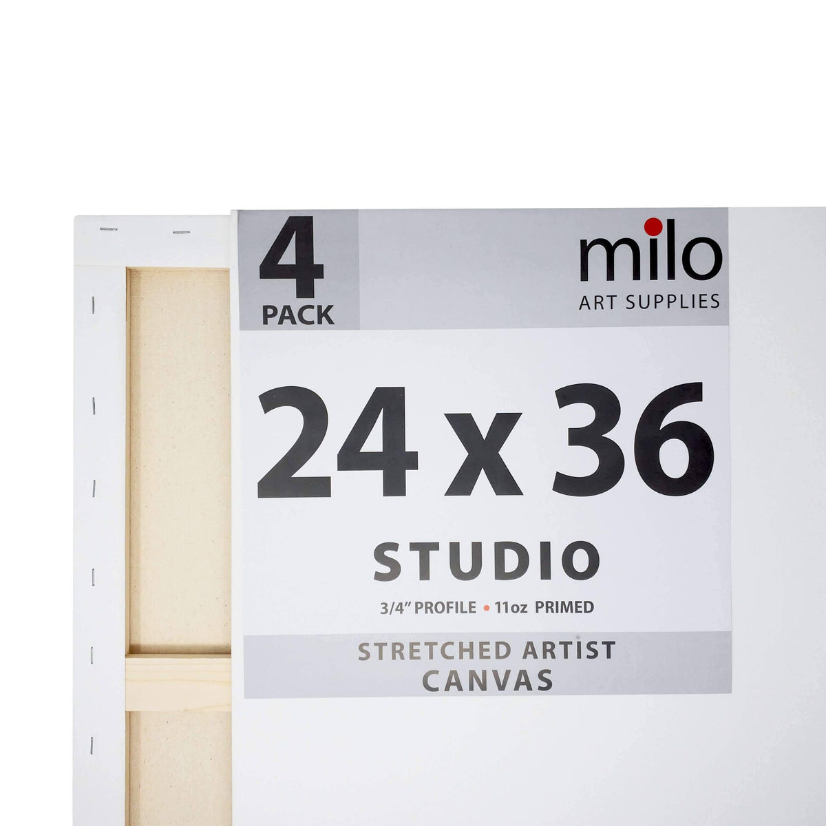 24 x 36x22 Stretched Canvas Pack of 4 N3044