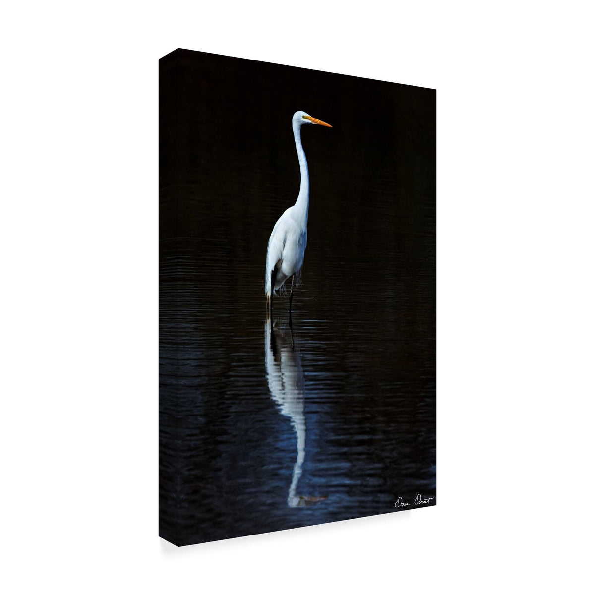 30x47 Canvas Art C365