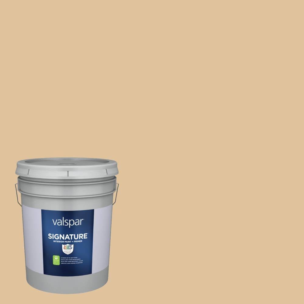 Eggshell Interior Paint (5-Gallon) I12694