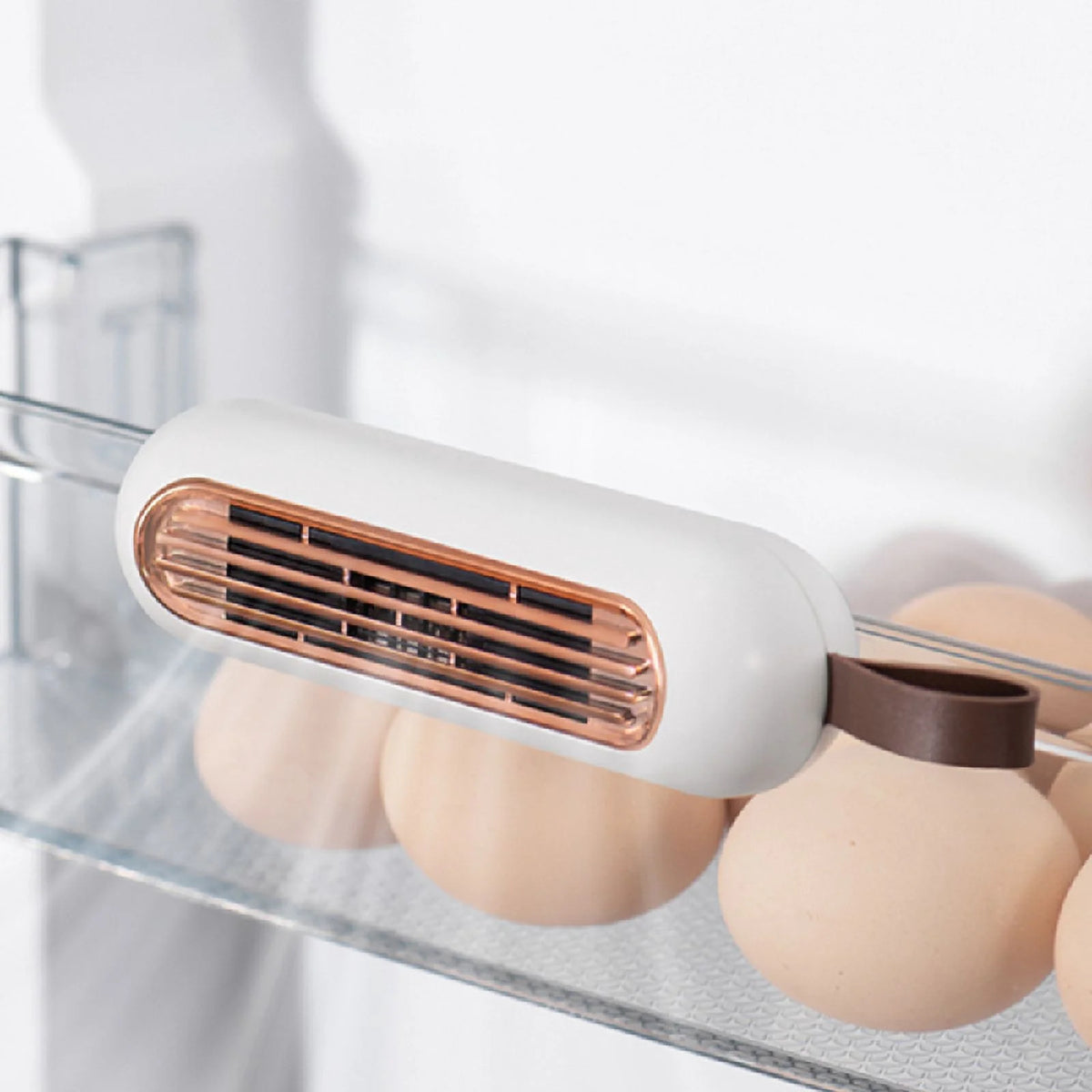 Refrigerator deodorizer G932395