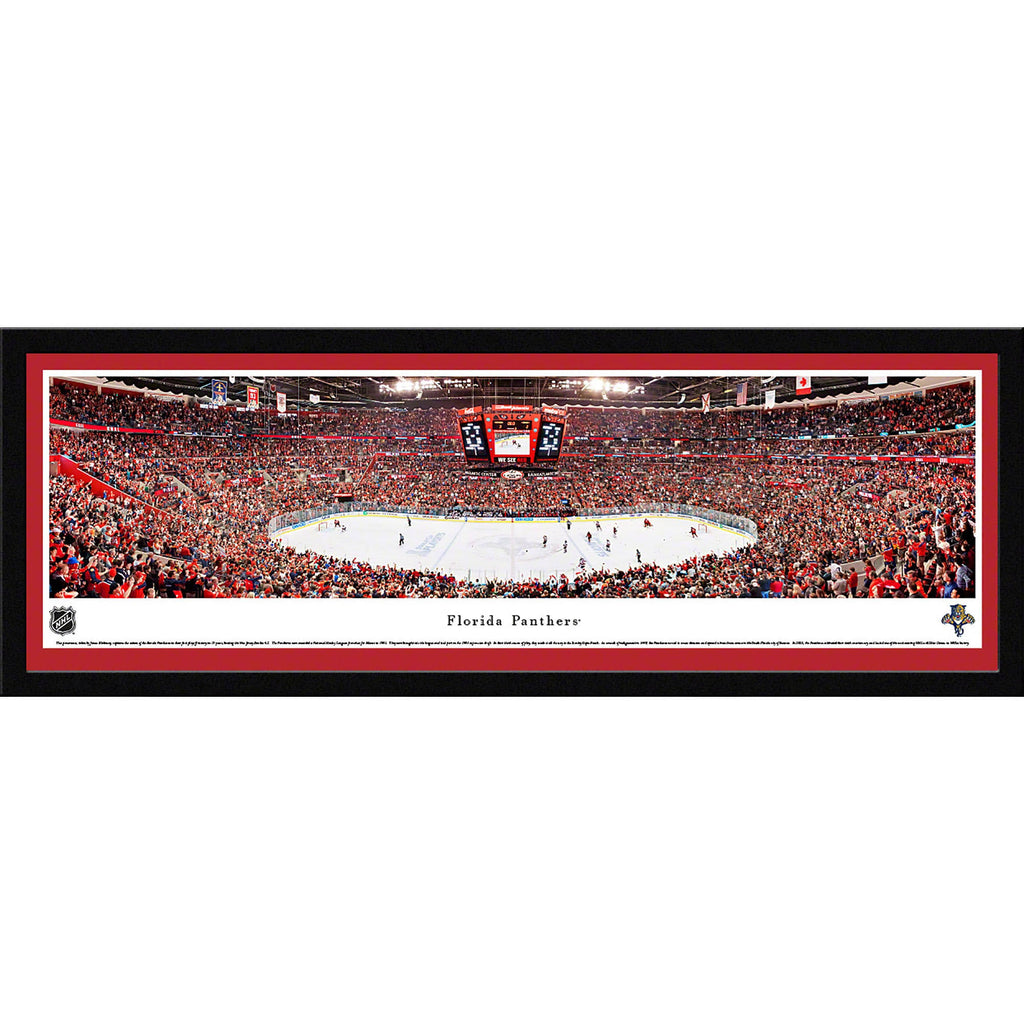 Florida Panthers Deluxe Frame F46815