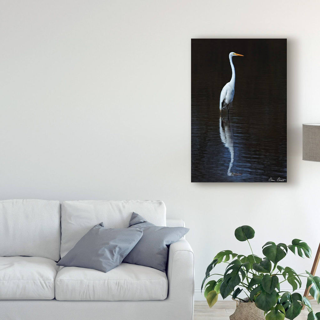 30x47 Canvas Art C365