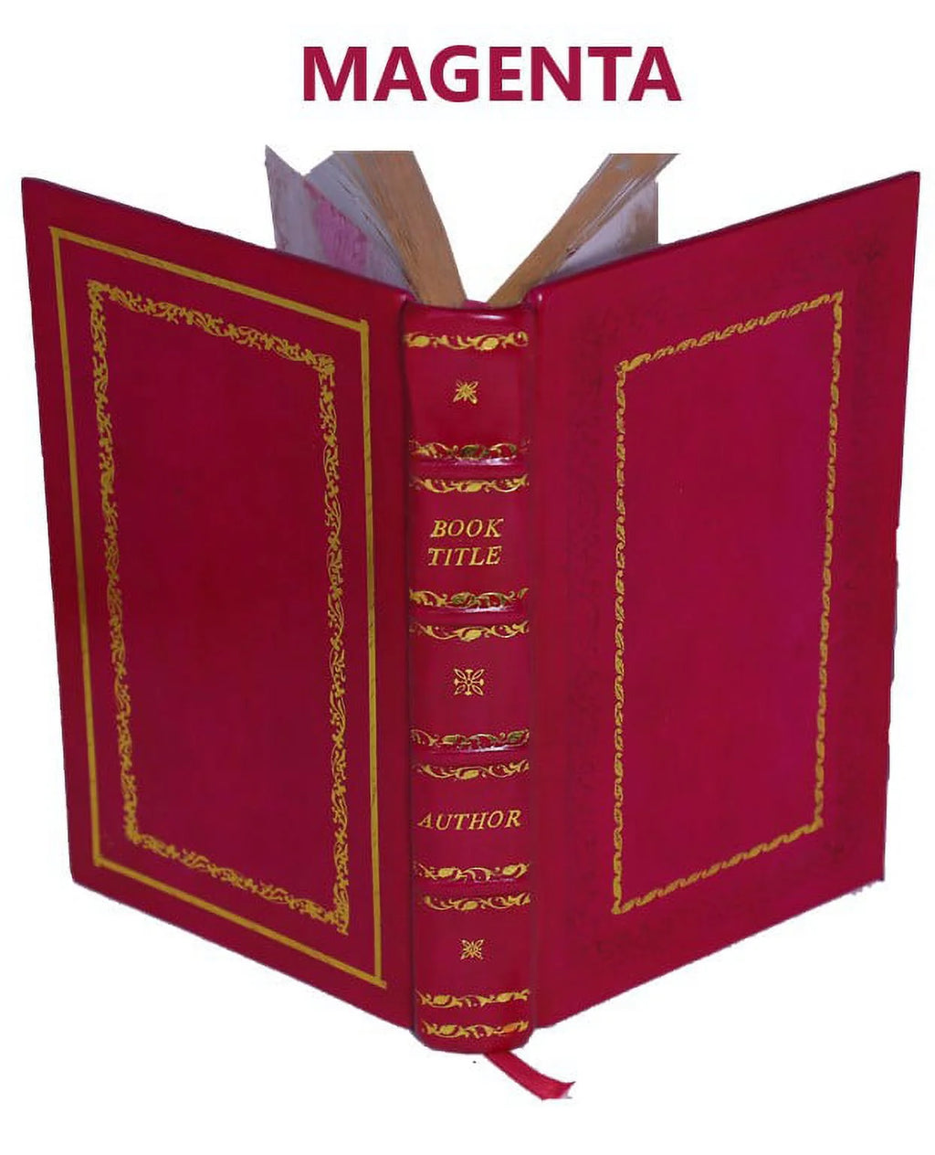 Premium Leather Bound Draft Environmental Impact Statement L2000
