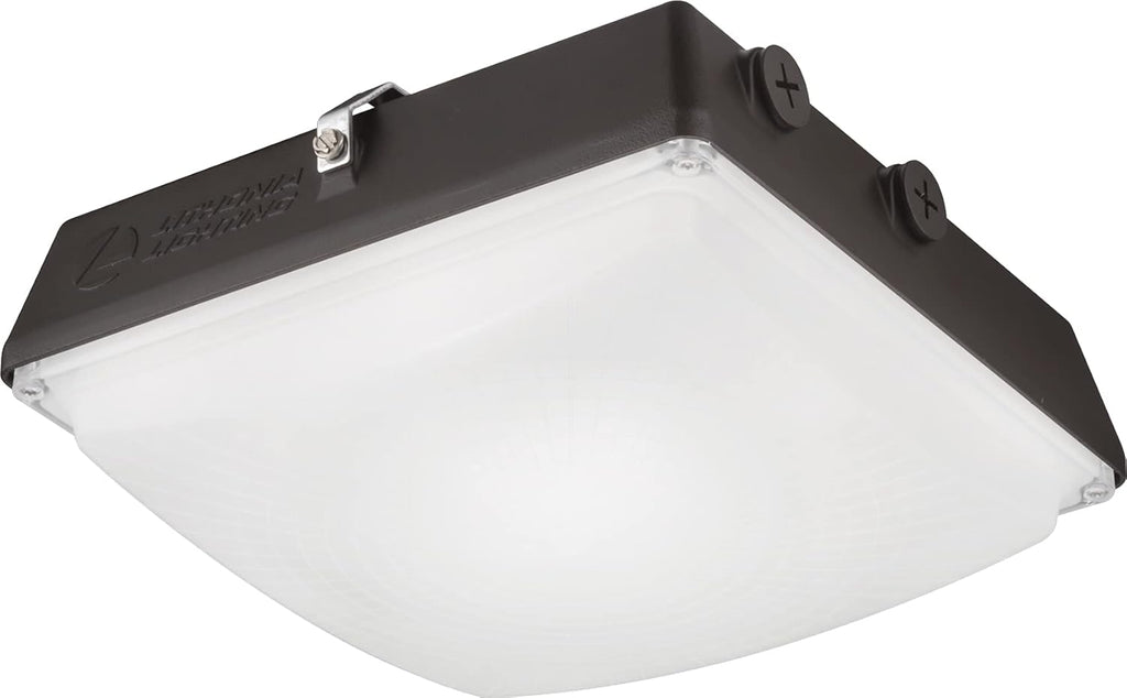 Dark Bronze Canopy Light V191988