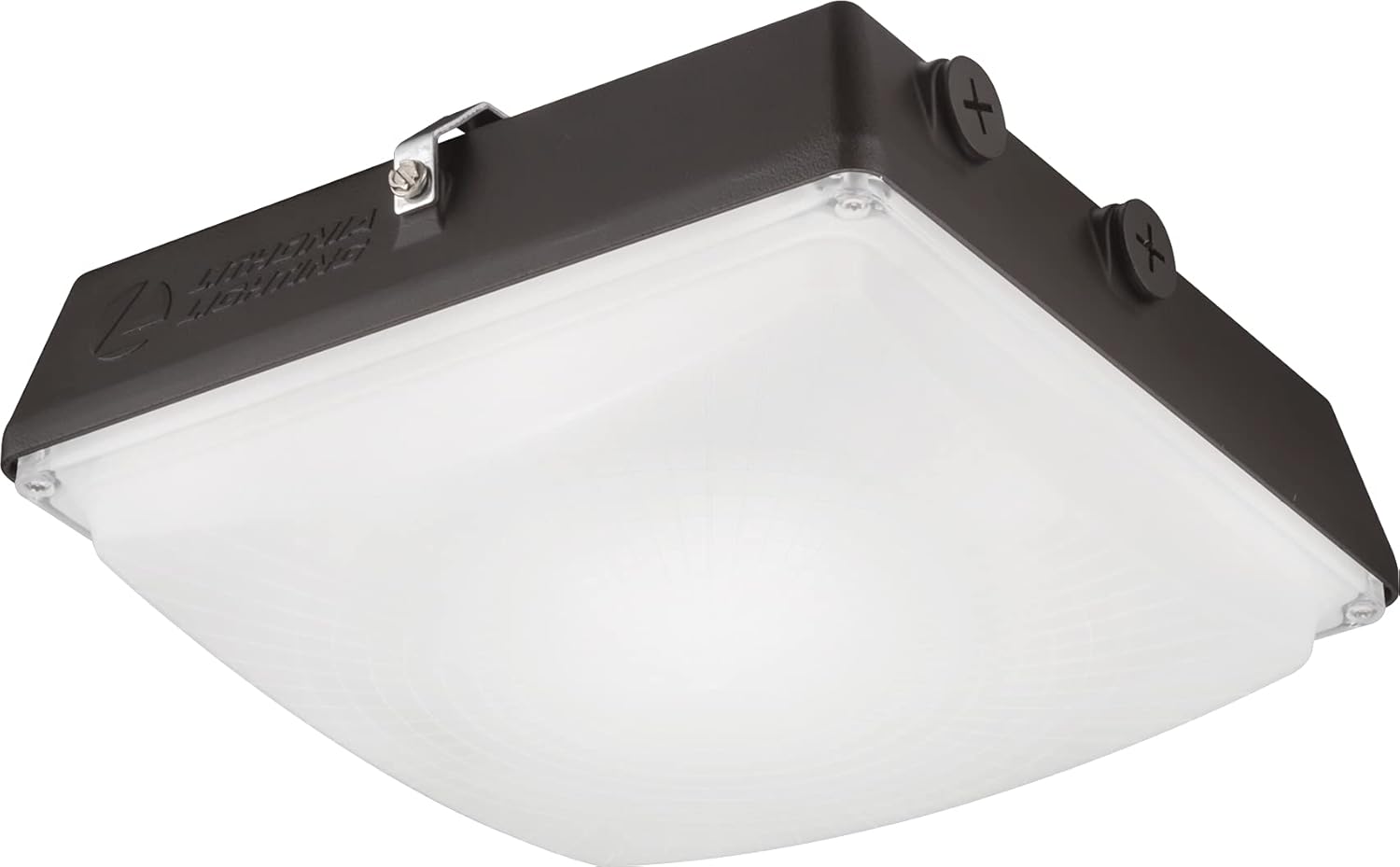 Dark Bronze Canopy Light V191988