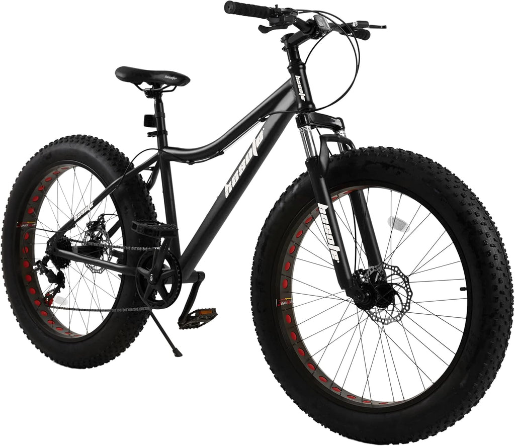 26 inch 7 Speed Double Disc Brake Fat Tire Mountain Bike A819