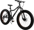 26 inch 7 Speed Double Disc Brake Fat Tire Mountain Bike A819