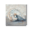 Blue Shell Study I Gallery Wrapped Canvas 10x10 G210725