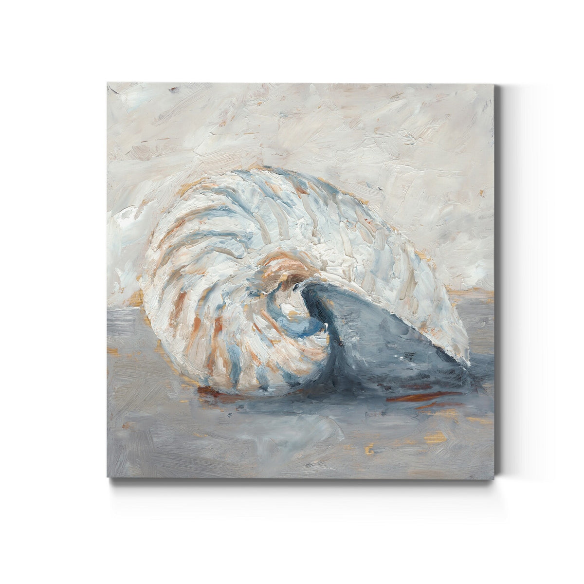Blue Shell Study I Gallery Wrapped Canvas 10x10 G210725