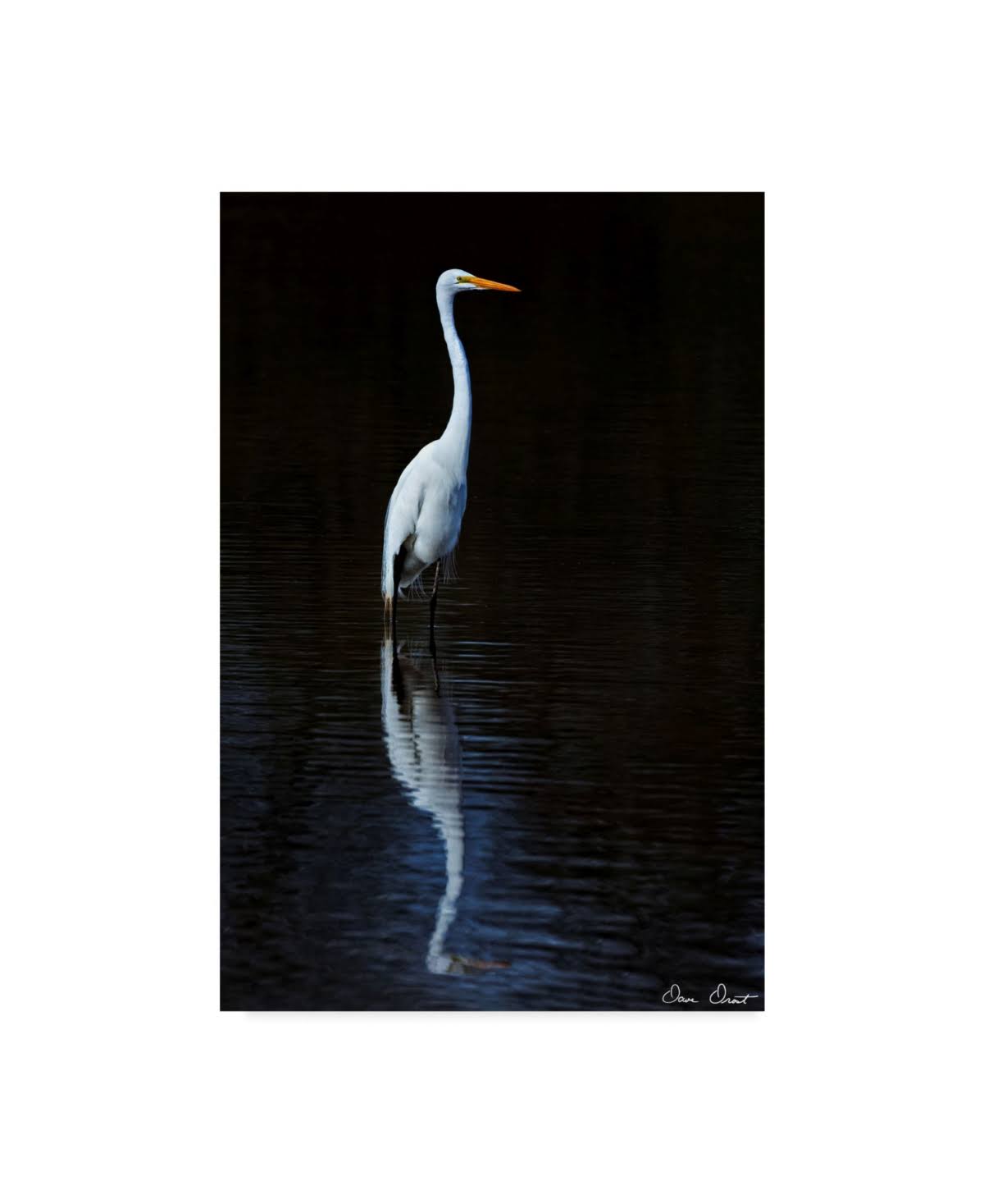 30x47 Canvas Art C365
