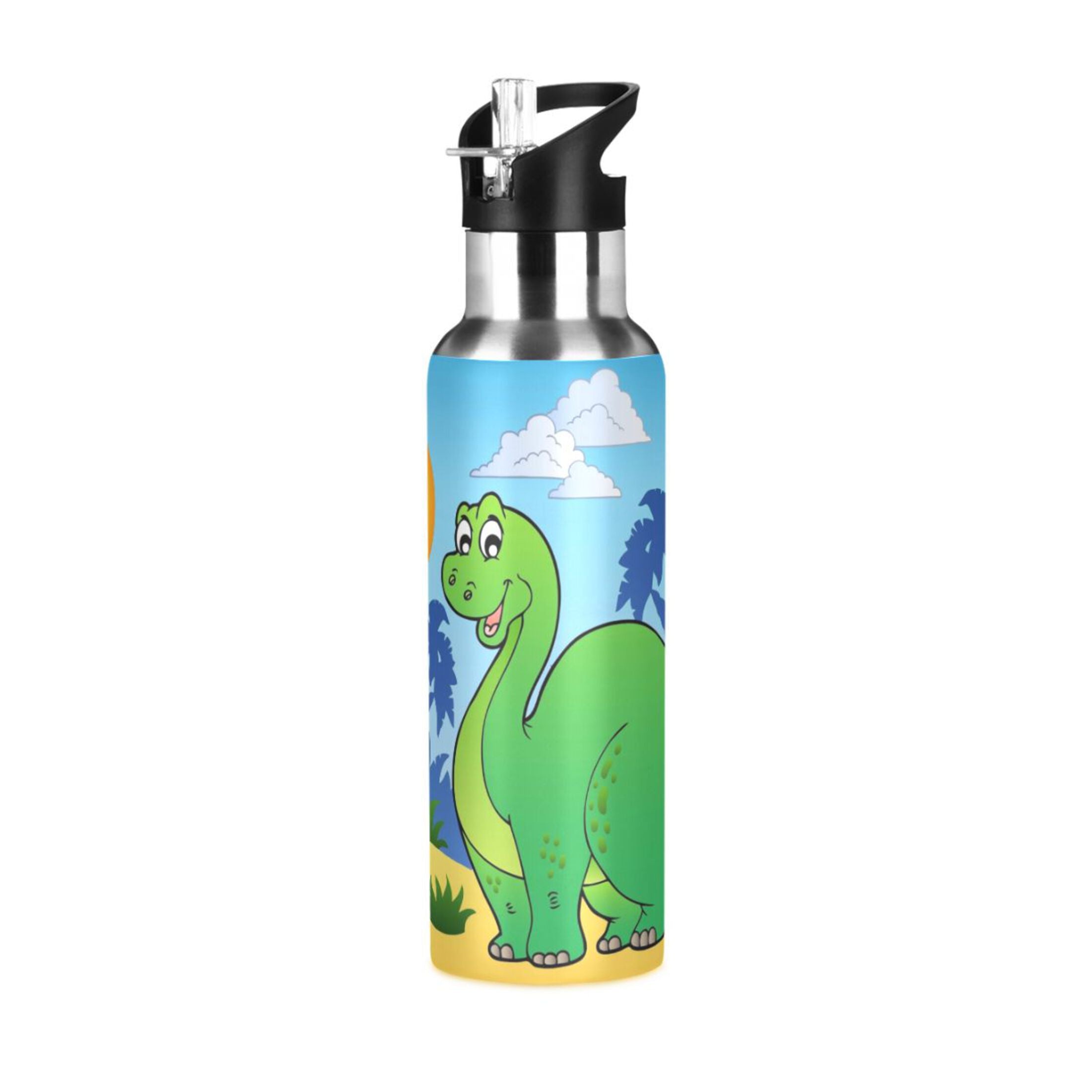 Stainless Steel Vacuum Insulated Water Bottle with Straw Lid 20 OZ G6758