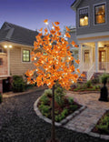 Orange Maple Tree with 120 Warm White LED Lights H400