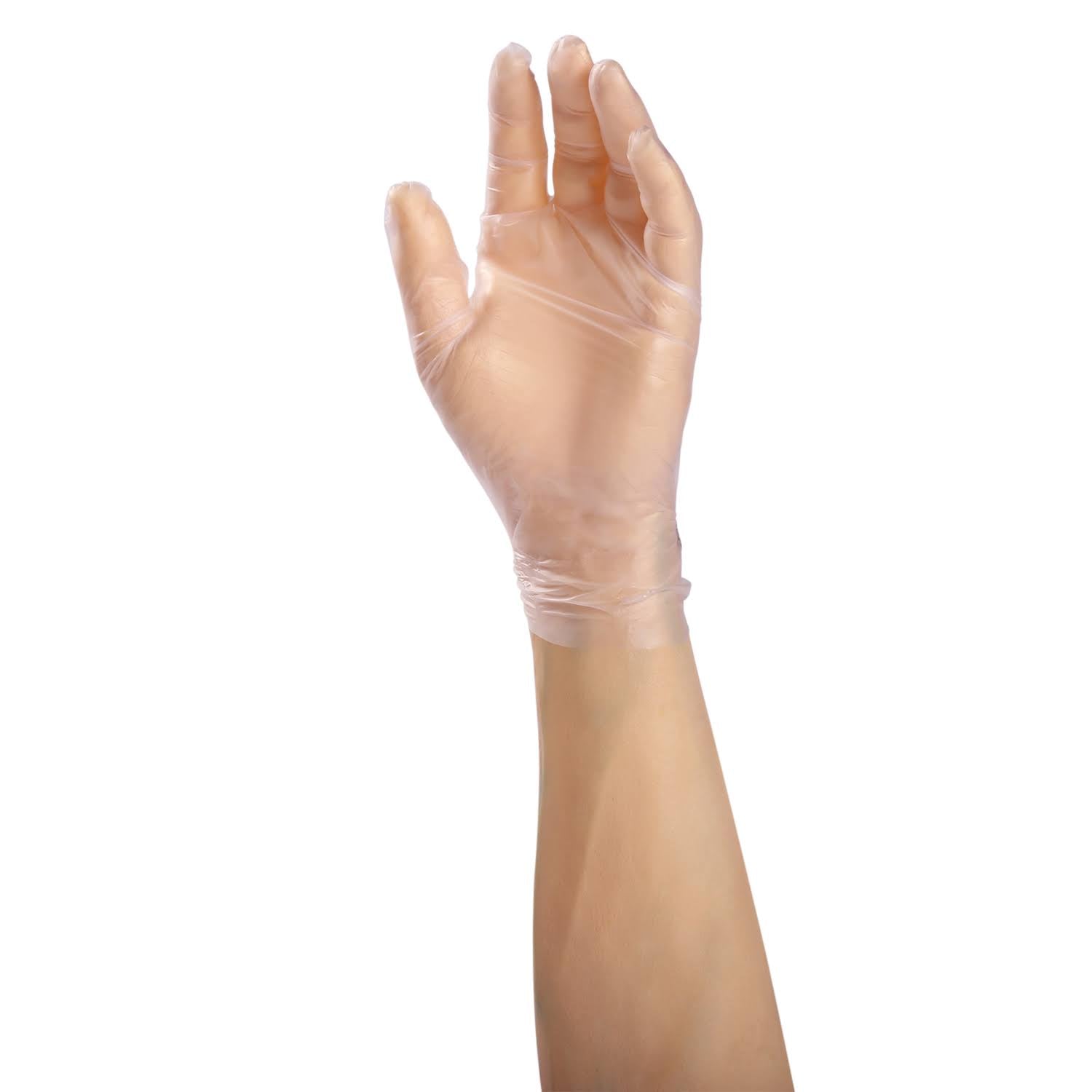 XX-Large Powder Free Hybrid Gloves, Case of 900 L925534