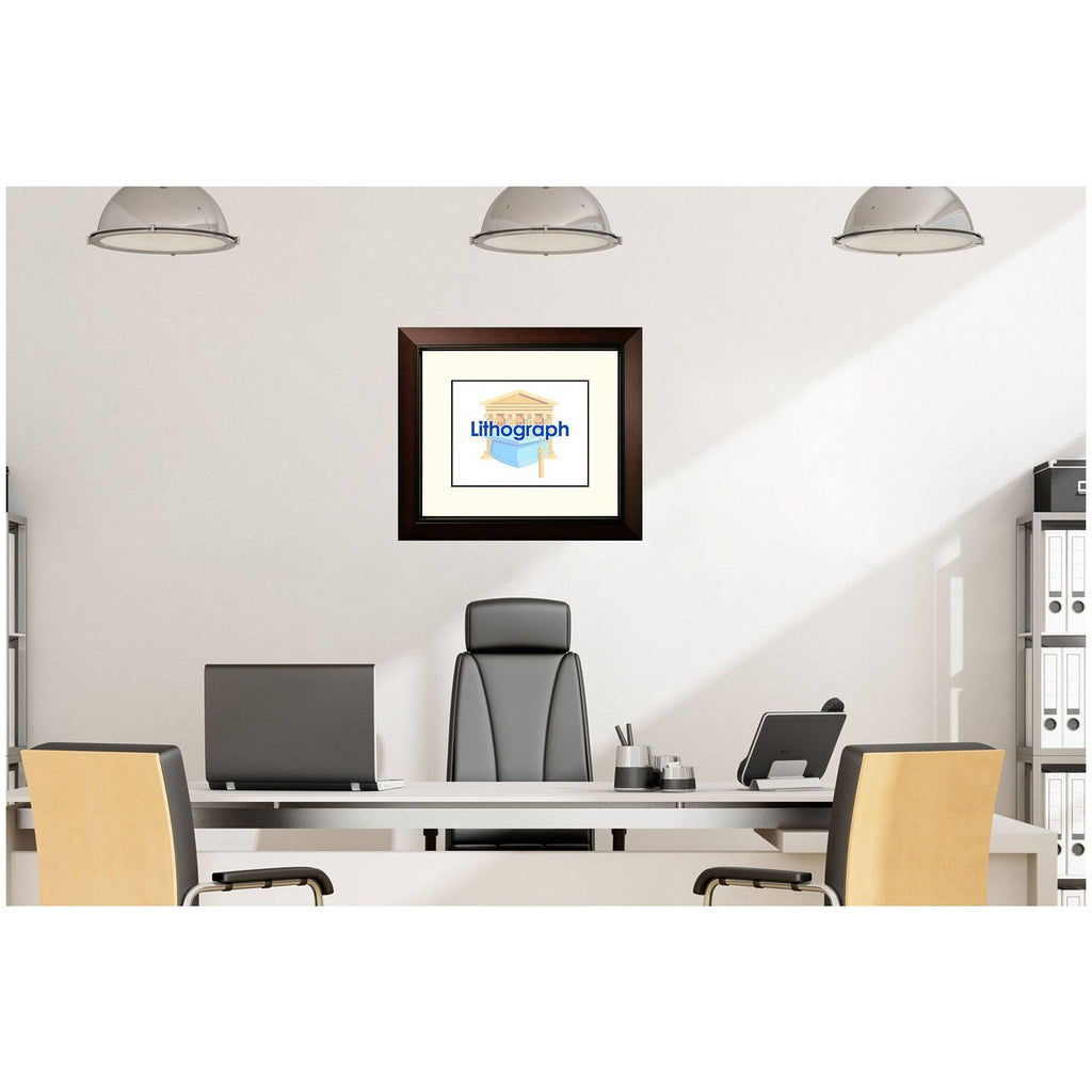 Framed Lithograph T264
