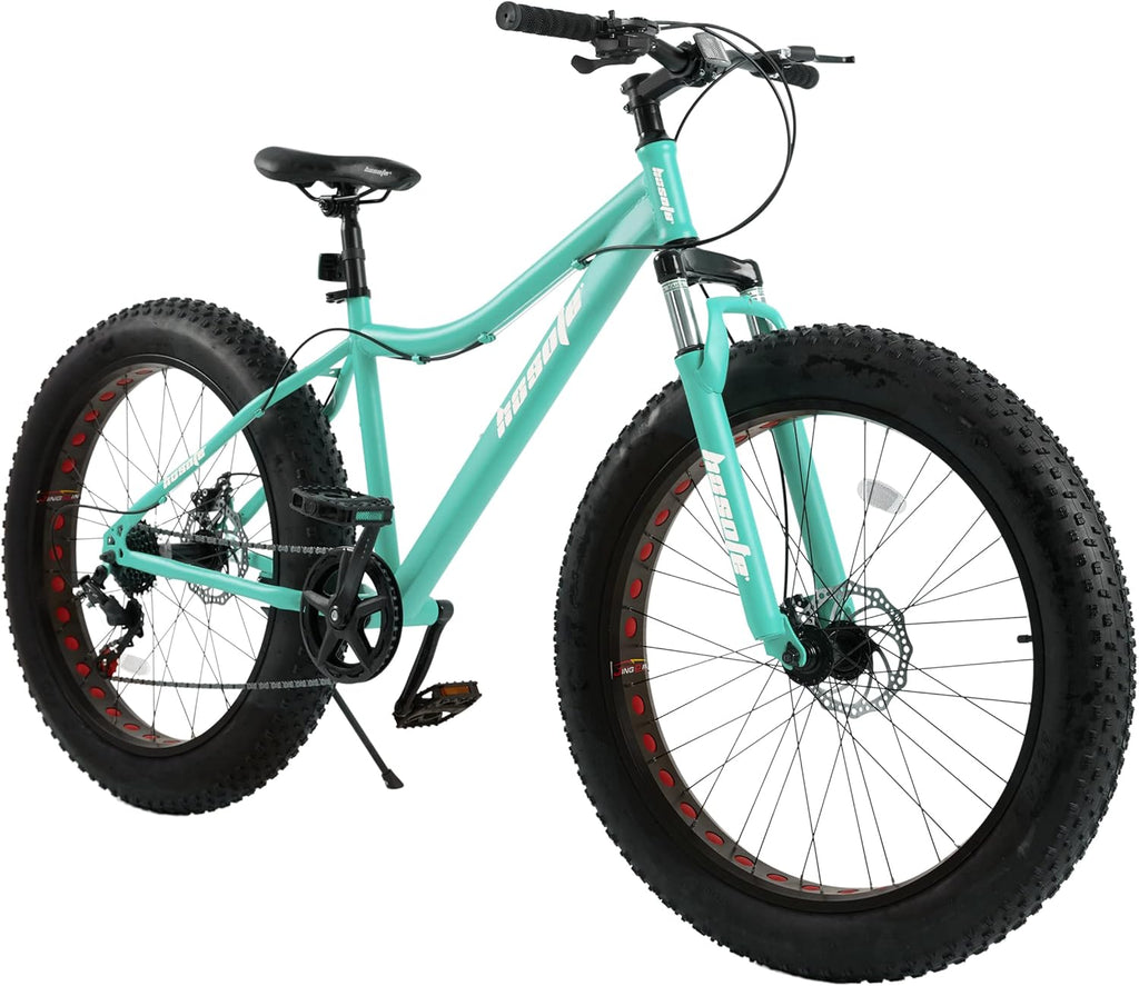 26 inch 7 Speed Double Disc Brake Fat Tire Mountain Bike A819