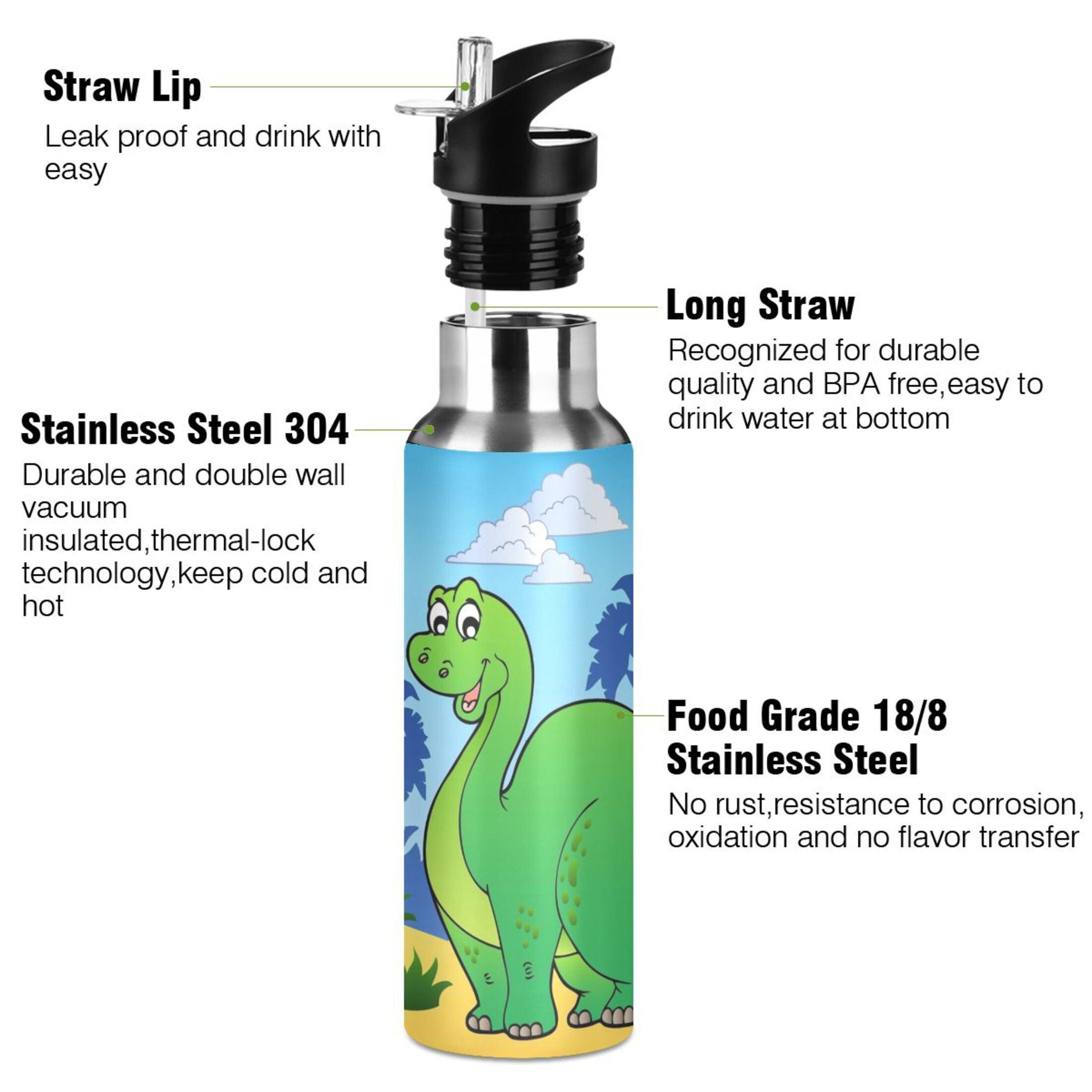 Stainless Steel Vacuum Insulated Water Bottle with Straw Lid 20 OZ G6758