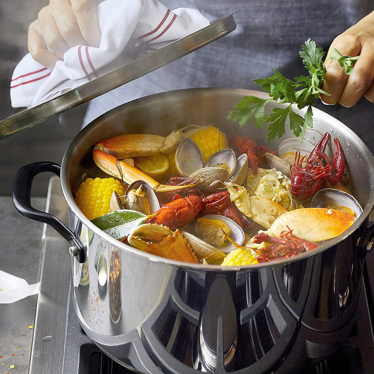 5-Ply Clad Stainless Steel Stock Pot with Lid, 8 Quart D2409