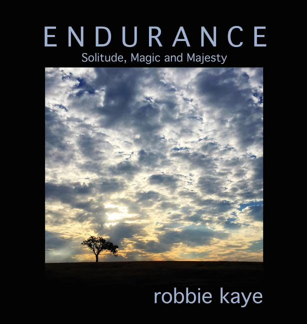 Endurance: Solitude, Magic and Majesty (Hardcover) K9678