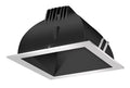 Black Cone Silver Ring LED Trim R5038