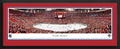 Florida Panthers Deluxe Frame F46815