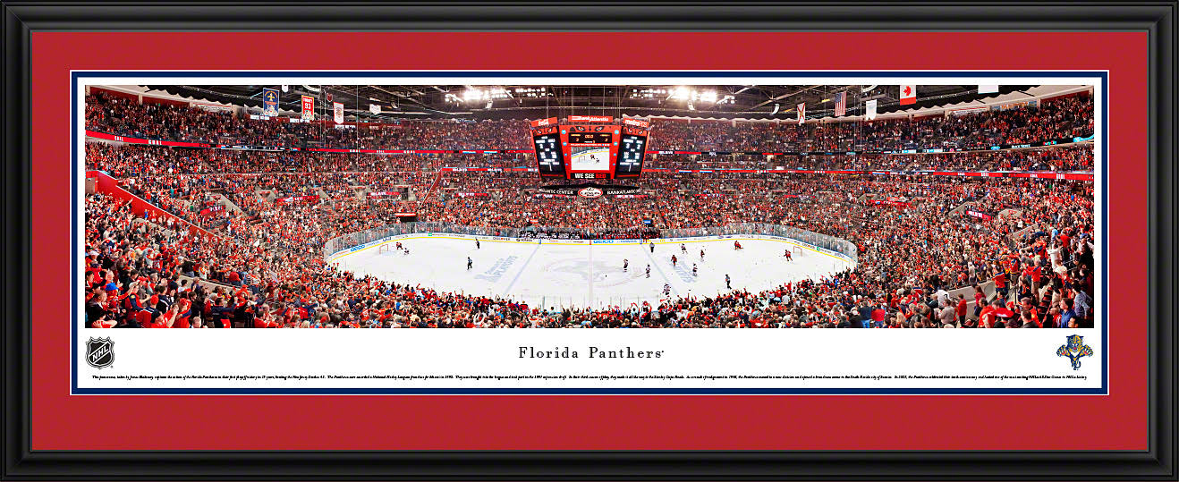 Florida Panthers Deluxe Frame F46815