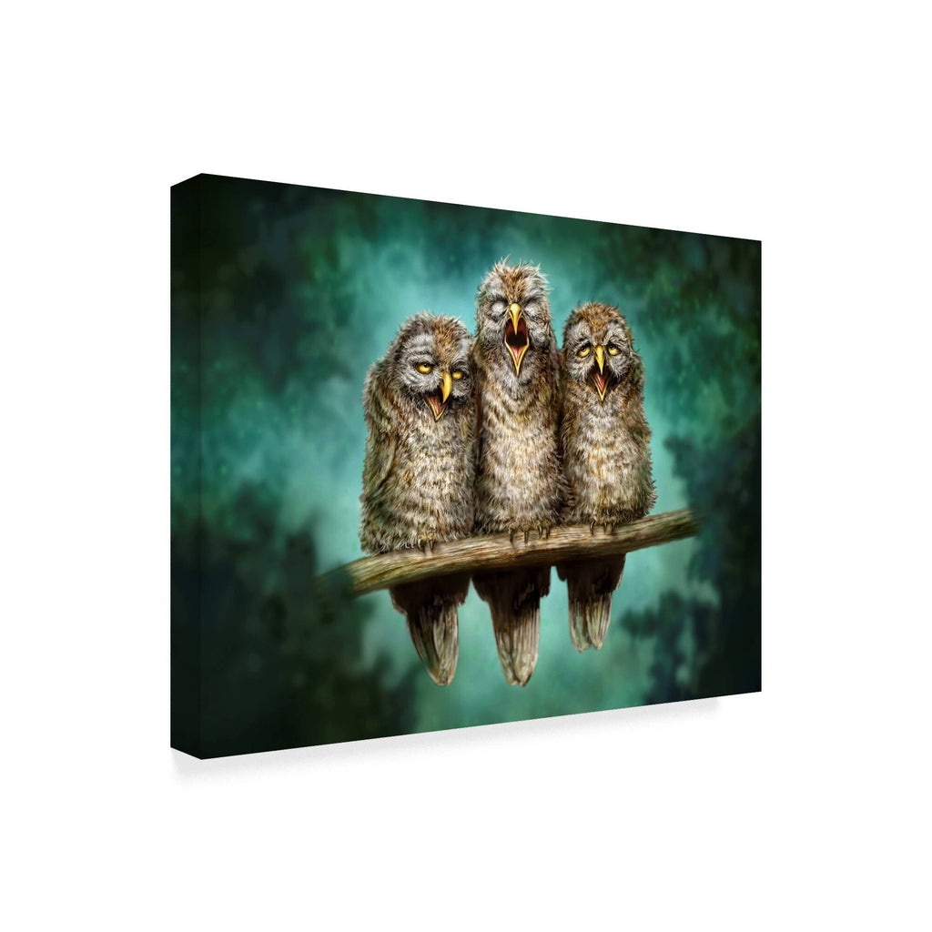 Canvas Art 35x47 W7214