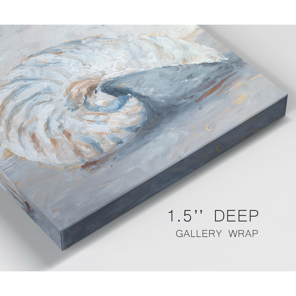 Blue Shell Study I Gallery Wrapped Canvas 10x10 G210725