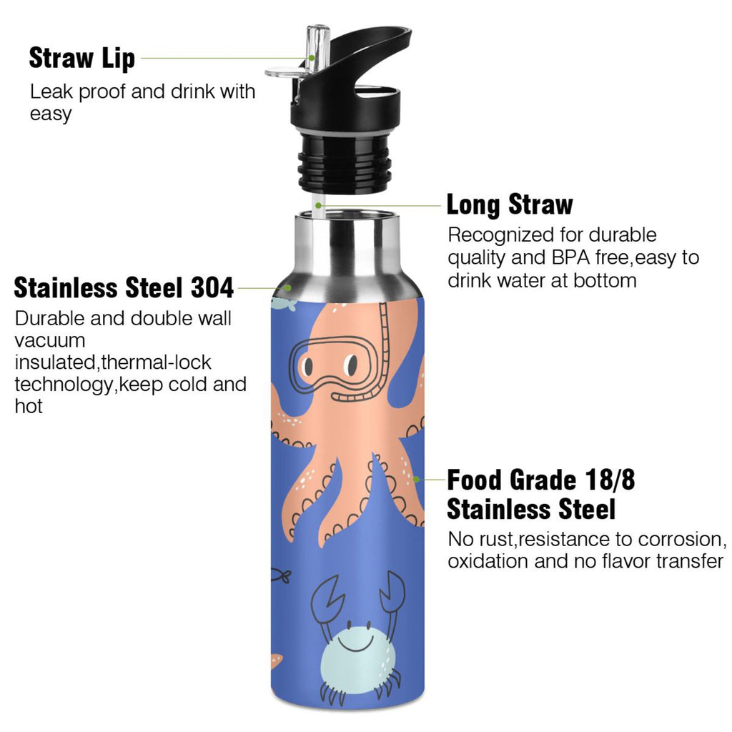 Stainless Steel Insulated Water Bottle with Straw Lid H312746