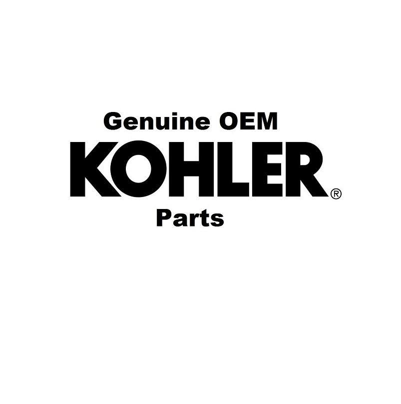 Carburetor Repair Kit N959014