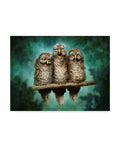 Canvas Art 35x47 W7214
