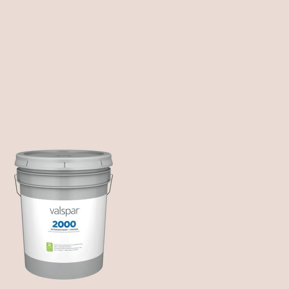 Eggshell Interior Paint (5-Gallon) S8640