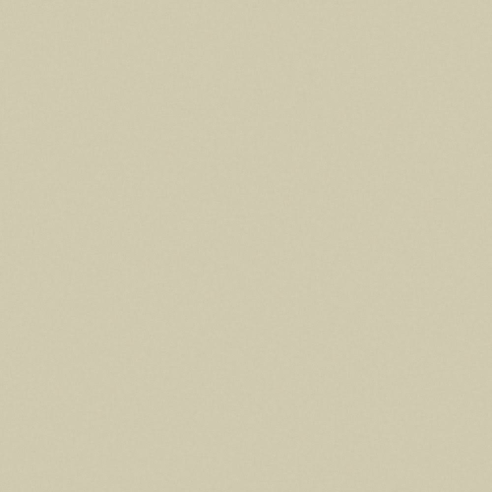 Putty Matte Finish 4 ft. x 8 ft. Laminate Sheet B619