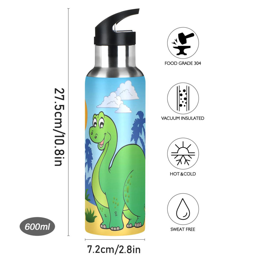 Stainless Steel Vacuum Insulated Water Bottle with Straw Lid 20 OZ G6758