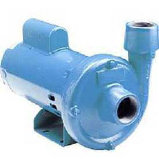Centrifugal Pump Cast Iron End Suction 60 GPM 1 HP Q16413