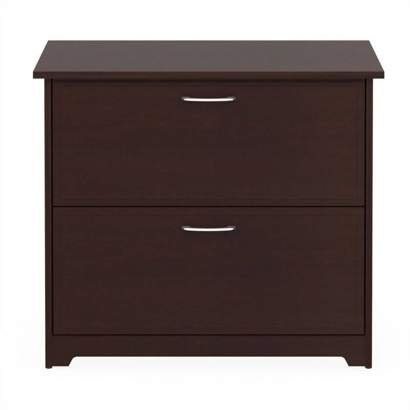 2 Drawer Lateral File Cabinet in Harvest Cherry R37198