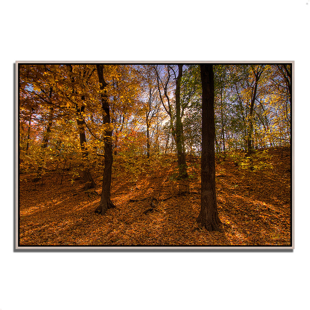 Gold Framed Photographic Print Y2506