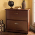2 Drawer Lateral File Cabinet in Harvest Cherry R37198