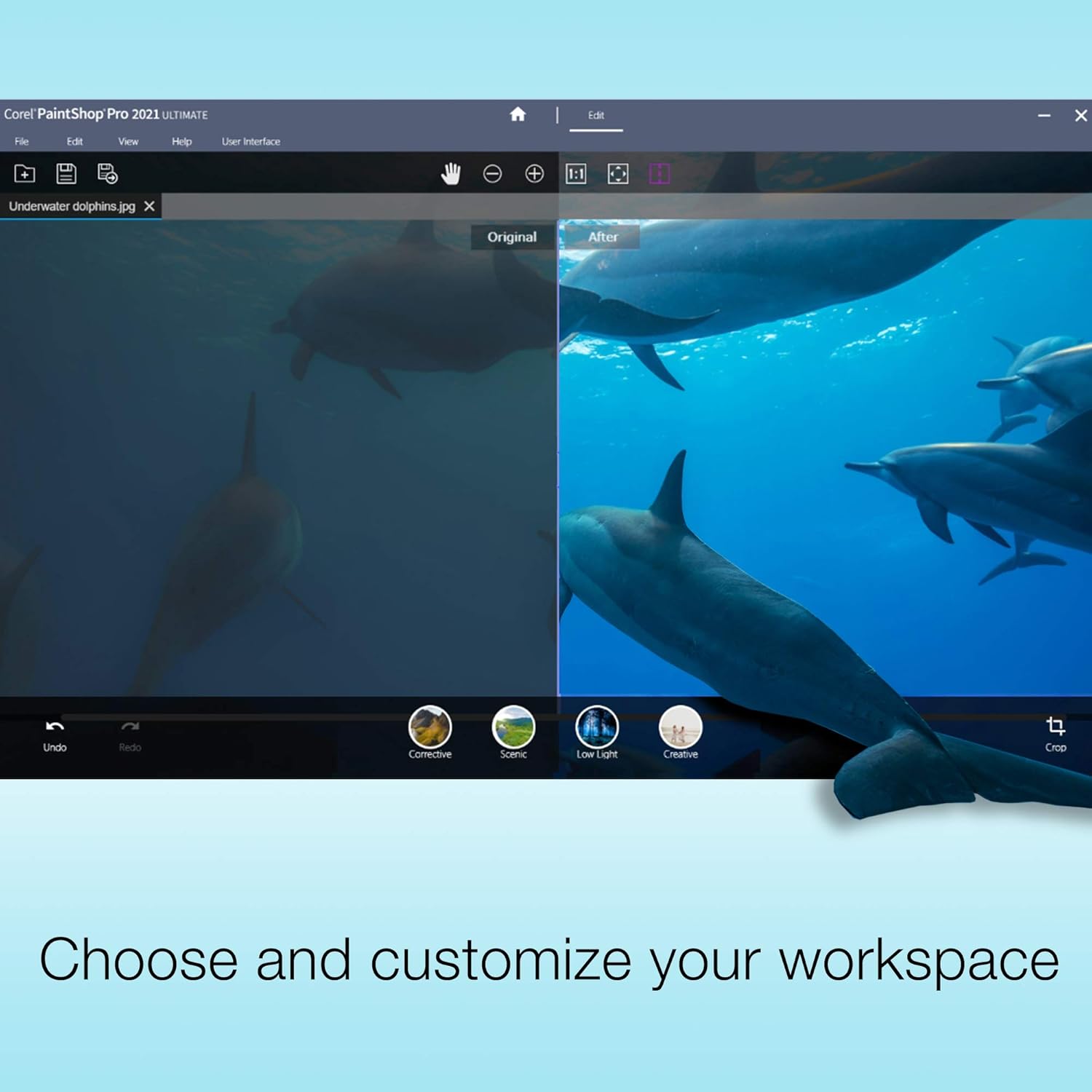 Photo Editing & Graphic Design Software M8483