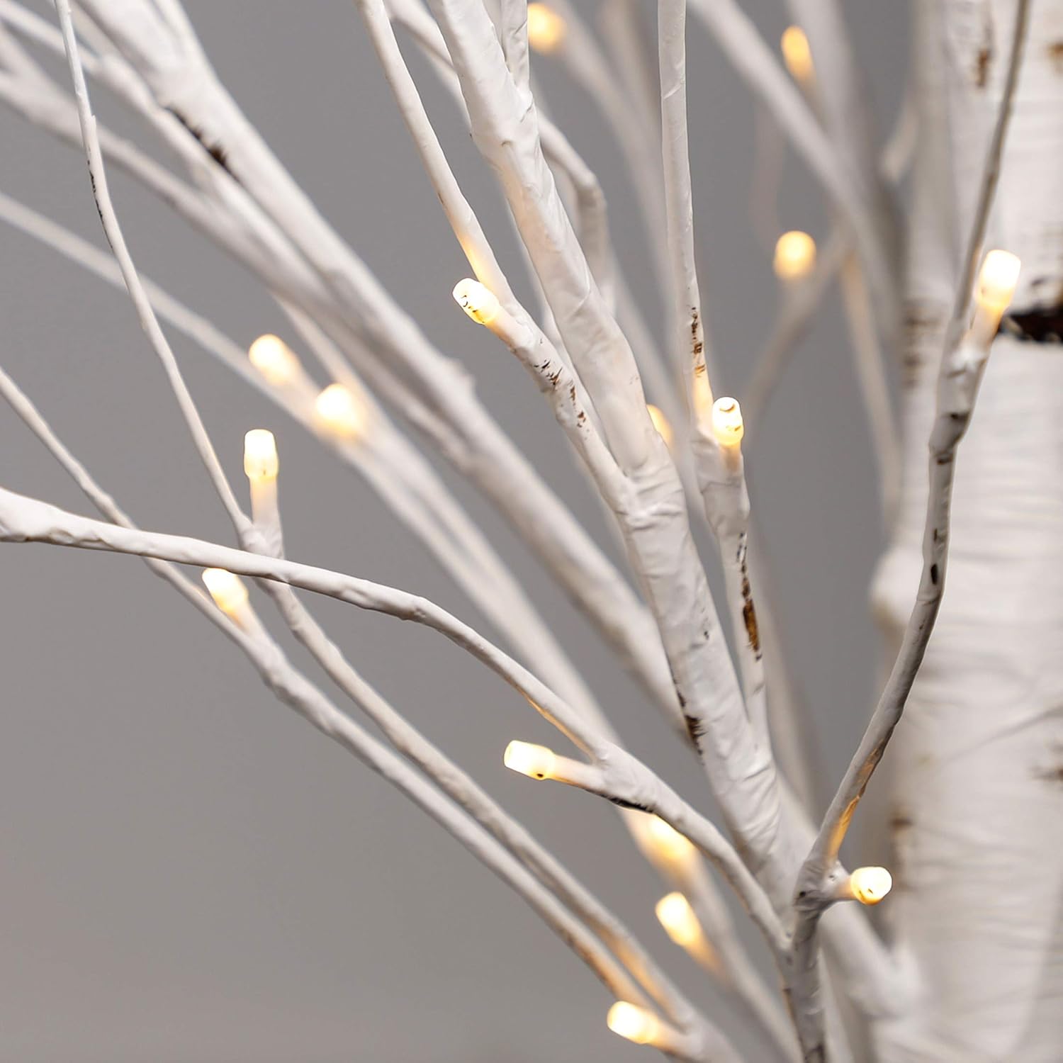 Lighted Birch Tree 8 Feet 240 LED V28446