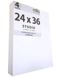24 x 36x22 Stretched Canvas Pack of 4 N3044